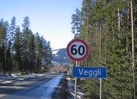 179. Veggli i Numedal.jpg