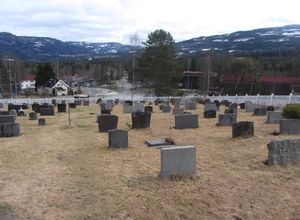 Veggli kirkegård nedre del 2014.jpg