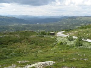 Vegglifjell fylkesgrensen Buskerud Telemark 2007.jpg