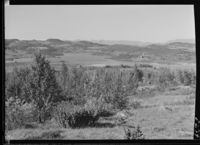 209. Veien Rauland - Rjukan - no-nb digifoto 20151012 00153 NB MIT FNR 05274.jpg