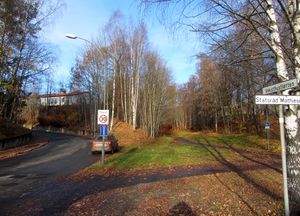 Veksthusfløtten Oslo 2013.jpg