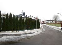 Parti fra begynnelsen av Vekterveien. Foto: Stig Rune Pedersen (2015)