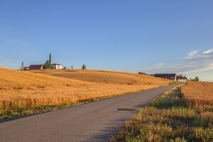 Velvangvegen 220820.jpg