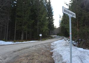 Venåsvegen Rollag 2016.jpg