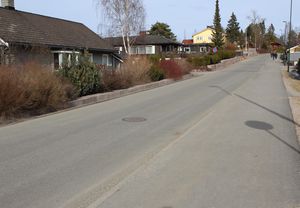 Vendla Asker 2016.jpg