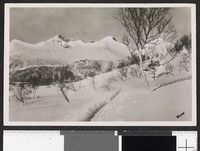 4. Vengedalen, Rauma kommune, Møre og Romsdal - no-nb digifoto 20150126 00076 blds 07192.jpg