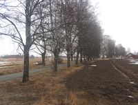 171. Venjarvegen (Eidsvoll) 2.jpg