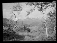 44. Venjedalen - no-nb digifoto 20150219 00143 NB MIT FNR 16471 B.jpg