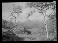 37. Venjedalen - no-nb digifoto 20150219 00164 NB MIT FNR 16471 A.jpg