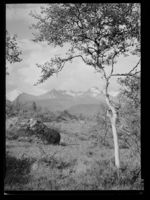 53. Venjedalen - no-nb digifoto 20150219 00169 NB MIT FNR 16472.jpg