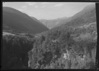 184. Verma - no-nb digifoto 20151105 00008 NB MIT FNR 06425.jpg