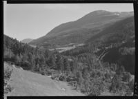 182. Verma - no-nb digifoto 20151105 00038 NB MIT FNR 06427.jpg