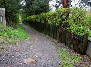 Veslekleiva Oslo 2015.jpg