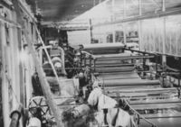 69. Vestfos cellulose (oeb-2497269.jpg