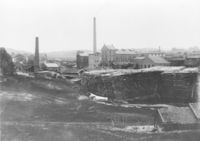 5. Vestfos cellulose (oeb-249743).jpg