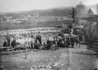 42. Vestfoss cellulose (oeb-176904).jpg