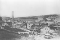 43. Vestfoss cellulose (oeb-176905).jpg