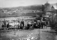 99. Vestfossen (sf0154).jpeg