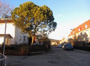 Vestgrensa Oslo 2013.jpg