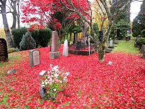 Vestre Aker kirkegård oktober 2015.jpg