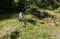 Foto: Kjell Klokkerud, juni 2022.