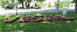 Vestre gravlund Oslo blomster 2021.JPG