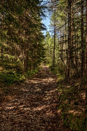 Vetaaasenbatteriet batteriveien2.jpg