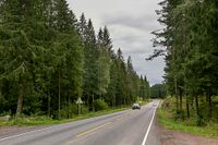 Mellom Regnbuen og Siggerud går Vevelstadveien gjennom tett skog. Foto: Leif-Harald Ruud
