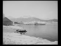 4. Vikebukt, Vestnes - no-nb digifoto 20150205 00131 NB MIT FNR 15774.jpg