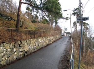 Vikingveien Oslo 2015.jpg