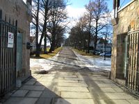 Allé opp til Villa Grande fra Huk aveny. Foto: Stig Rune Pedersen