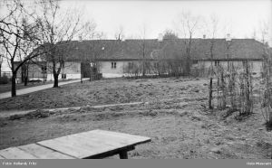 Vinderen Holland.jpg