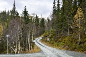 Vinje, Hyttedalsvegen-1.jpg