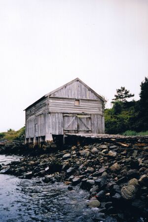 Vinsternes paa Ertvaagsoeya naust 1995 ou.jpg