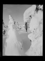 210. Vinter - no-nb digifoto 20160720 00155 NB MIT FNR 22992.jpg