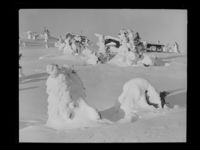 212. Vinter - no-nb digifoto 20160720 00169 NB MIT FNR 22986.jpg