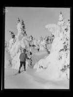 215. Vinter - no-nb digifoto 20160720 00179 NB MIT FNR 22990.jpg