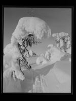 207. Vinter - no-nb digifoto 20160721 00011 NB MIT FNR 23003.jpg