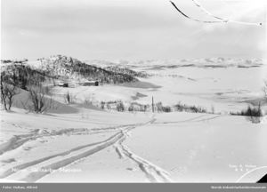 Vinter på Møsvann.jpg