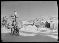 286. Vinterstemning - no-nb digifoto 20160209 00334 NB MIT FNR 05540.jpg