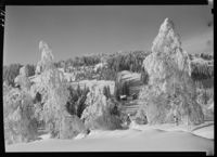 288. Vinterstemning - no-nb digifoto 20160209 00341 NB MIT FNR 05541B.jpg