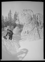 290. Vinterstemning - no-nb digifoto 20160209 00348 NB MIT FNR 05545.jpg