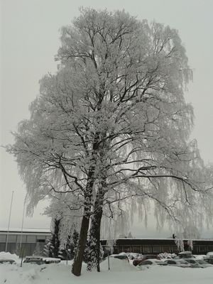 Vinterstemning på Sørumsand.jpg