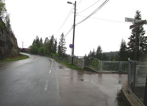 Voksenkollveien Oslo 2015.jpg