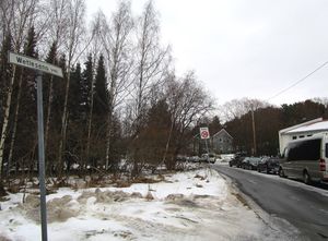 Wetlesens vei Oslo 2015.jpg