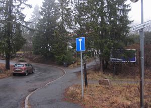 Wildenveybakken Oslo 2014.jpg