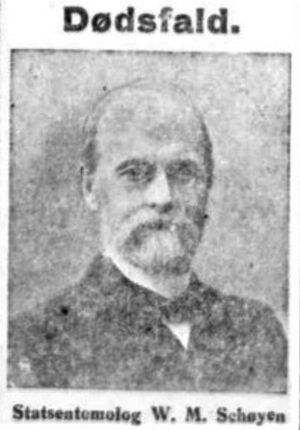Wilhelm Maribo Schøyen nekrolog 1918 Aftenposten.jpg