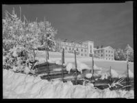 12. Winge - no-nb digifoto 20150205 00052 NB MIT FNR 15644.jpg