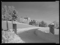 17. Winge - no-nb digifoto 20150205 00065 NB MIT FNR 15642 B.jpg