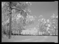 9. Winge - no-nb digifoto 20150205 00076 NB MIT FNR 15648.jpg